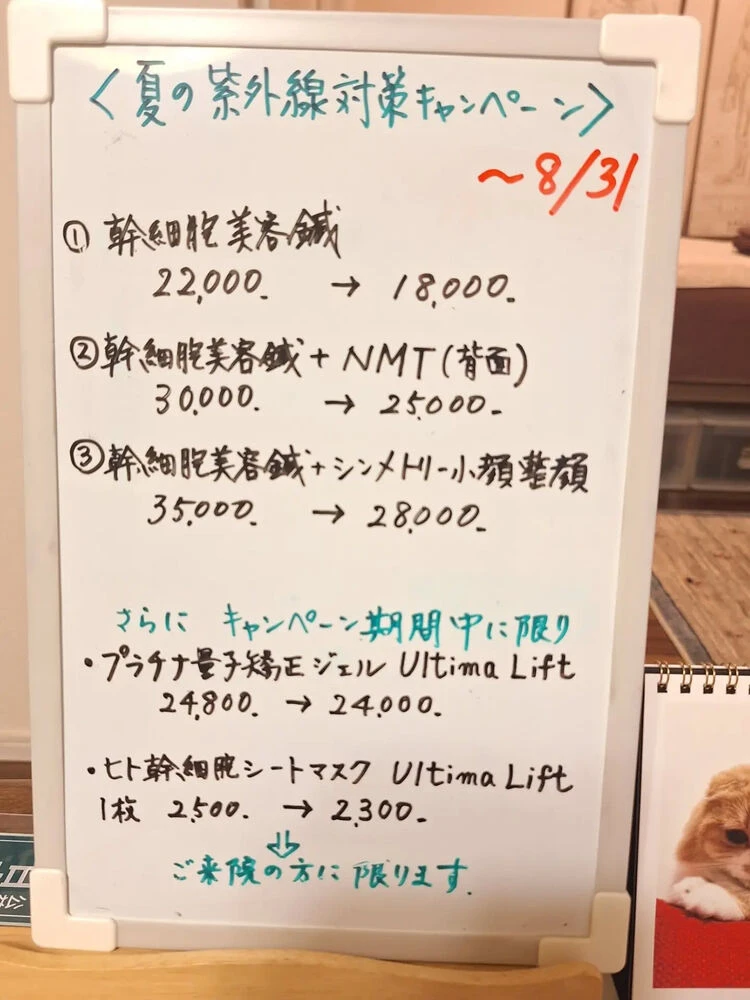 ブログ